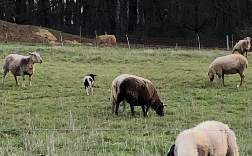 Sur la route de Libos, commune de Condezaygues en&nbsp;Lot-et-Garonne…